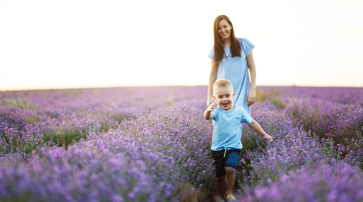 Mother chasing her son through the lavender fields in Provence